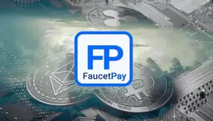 faucetpayg
